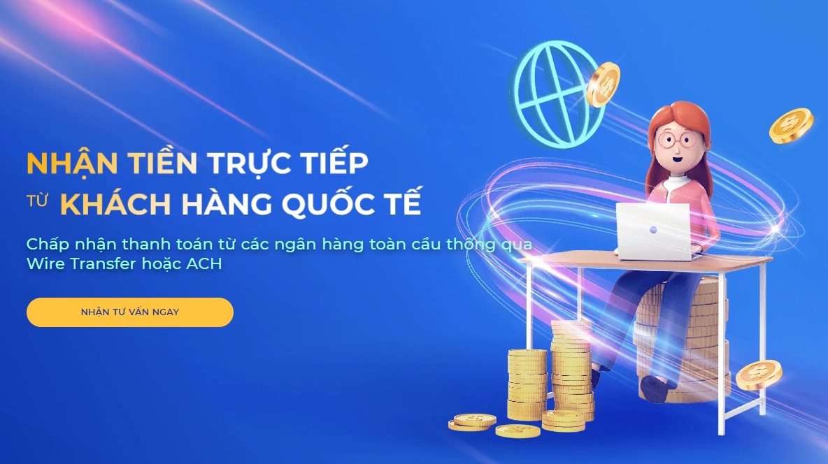 Thông tin chung về pingpongx trên website