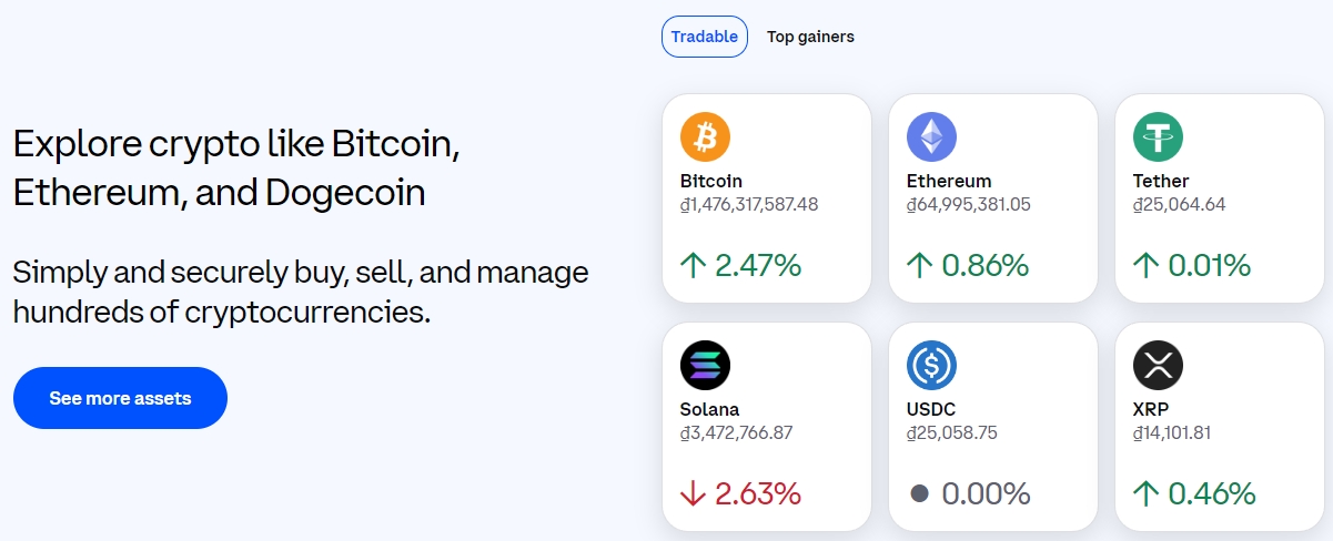 Giá trị các đồng tiền được thể hiện rõ bằng biểu đồ - Đăng ký Coinbase với sim ảo